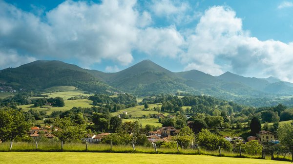 Découvrez les cabanes dans les arbres en dordogne : magie et nature